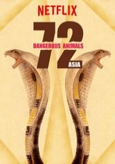 72 Dangerous Animals: Asia