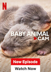 Baby Animal Cam