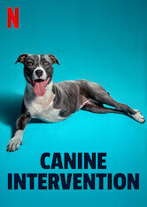 Canine Intervention