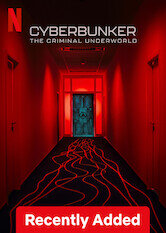 Cyberbunker: The Criminal Underworld