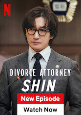 Divorce Attorney Shin