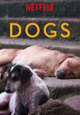 Dogs