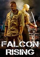 Falcon Rising