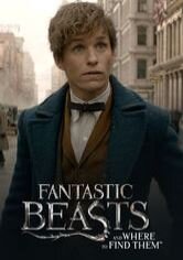 Fantastic Beasts and Where To Find Them