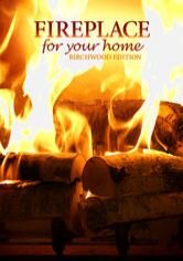 Fireplace 4K: Crackling Birchwood from Fireplace for Your Home