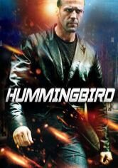 Hummingbird