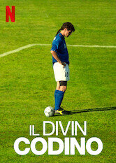 Il Divin Codino