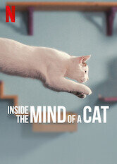 Inside the Mind of a Cat