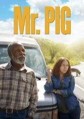 Mr. Pig
