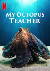 My Octopus Teacher