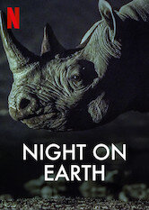 Night on Earth