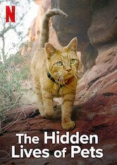 The Hidden Lives of Pets