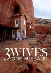 Three Wives One Husband