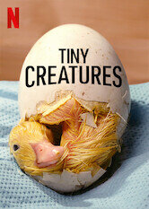 Tiny Creatures
